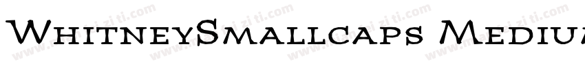 WhitneySmallcaps MediumItalic字体转换